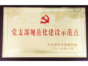 2017黨支部規(guī)范化建設示范點