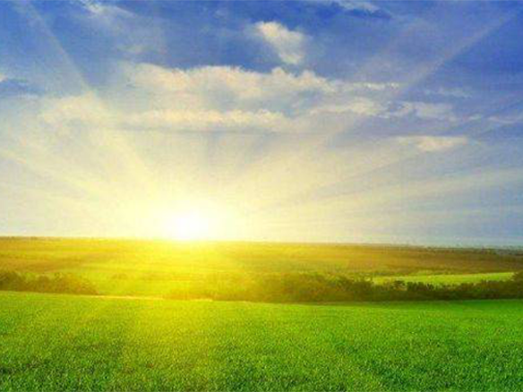 2020H1，錦州陽(yáng)光戮力同心、運(yùn)營(yíng)達(dá)滿產(chǎn)