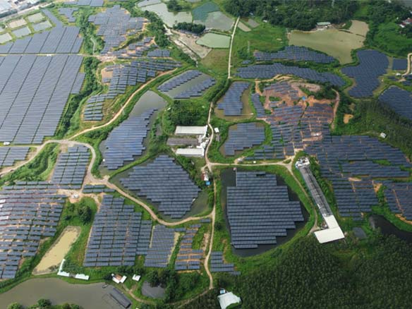 全球足跡 | 抗臺(tái)風(fēng)技能拉滿！陽(yáng)光能源助力廣東省開平市150MW光伏項(xiàng)目實(shí)現(xiàn)三重收益