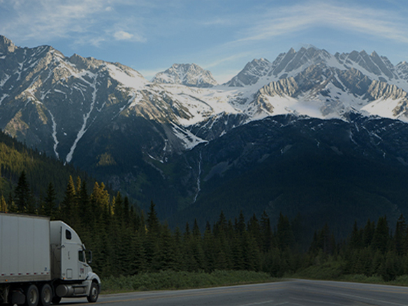 打造綠色典范工程！陽(yáng)光能源助力中廣核新能源吉林白城項(xiàng)目順利開工