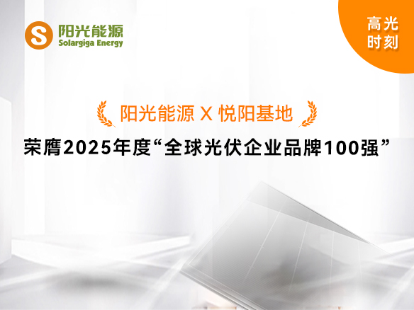 高光時刻 | 陽光能源榮膺2025年度“全球光伏企業(yè)品牌100強”